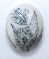 7 transfer tests Lazertran overnight